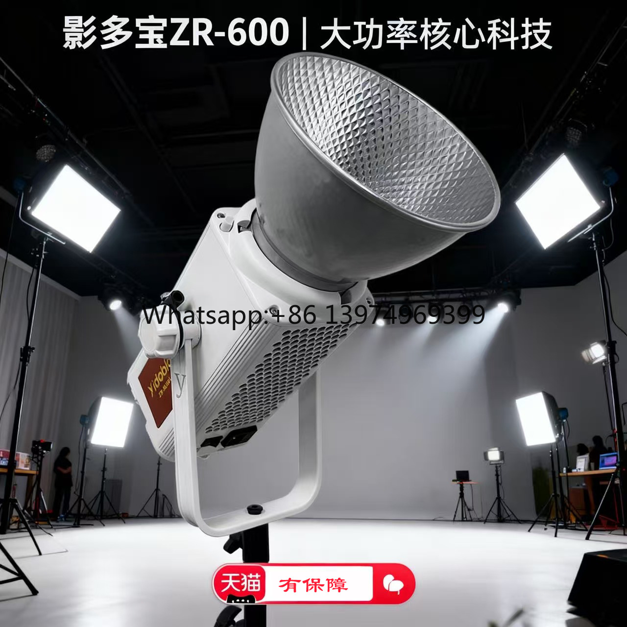 Photography Lighting Direction - 잉두바오 600w 전문가용 직광 조명, 주요
