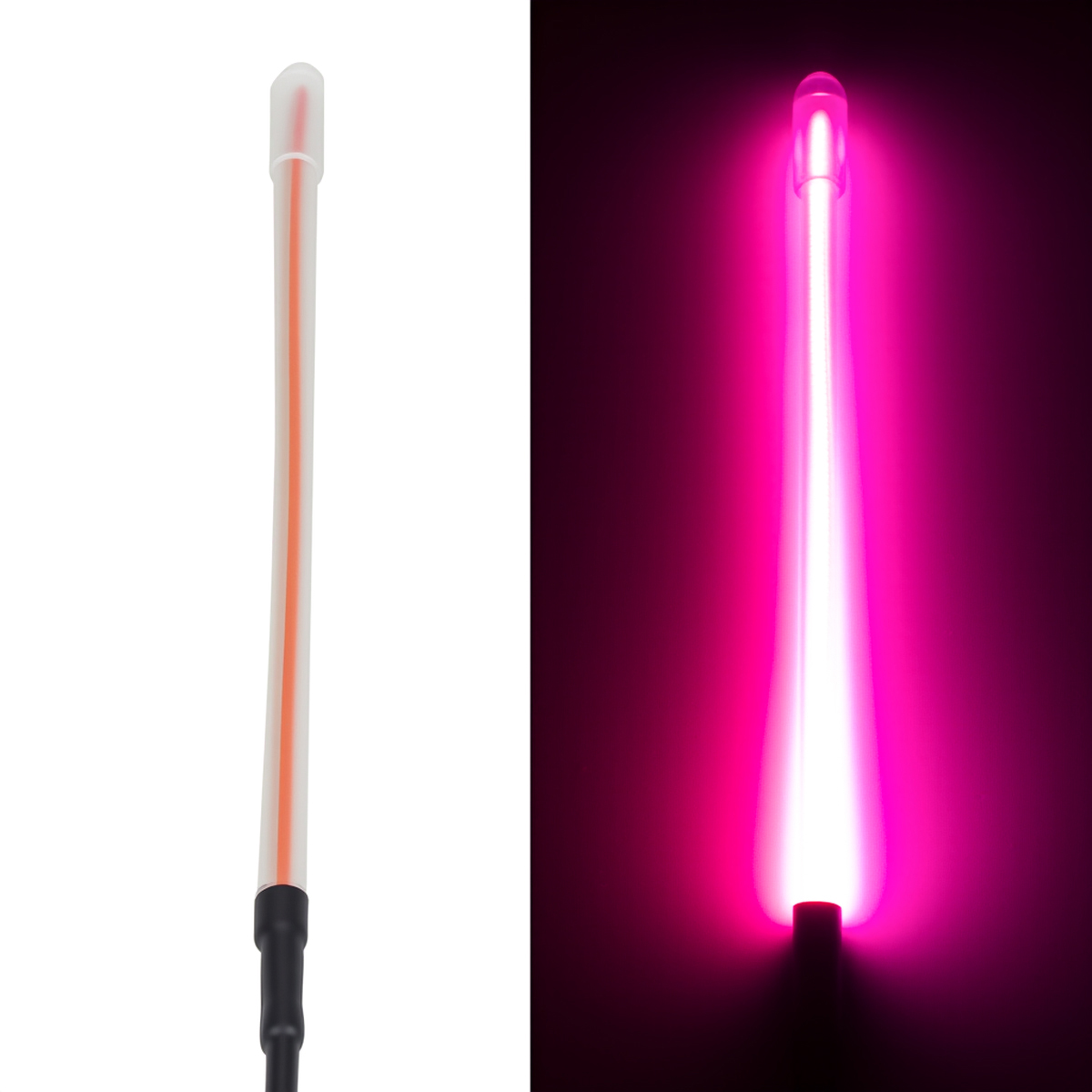 LED 테일 라이트 야간 스포트라이트 주변 조명 1/1 - Macro Photography Lighting Kit 리뷰 및 가격